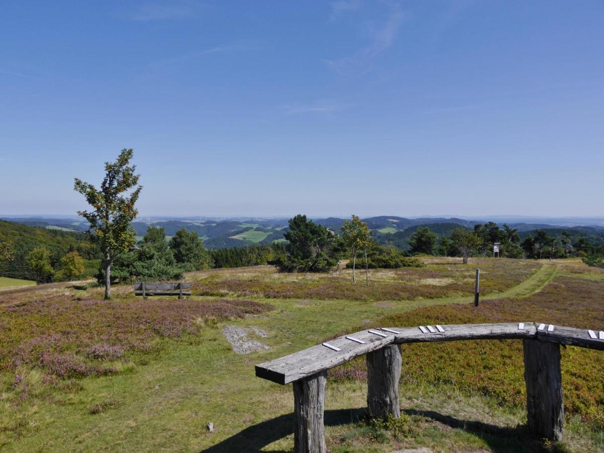 Ferienhaus Free Willi Willingen Kültér fotó